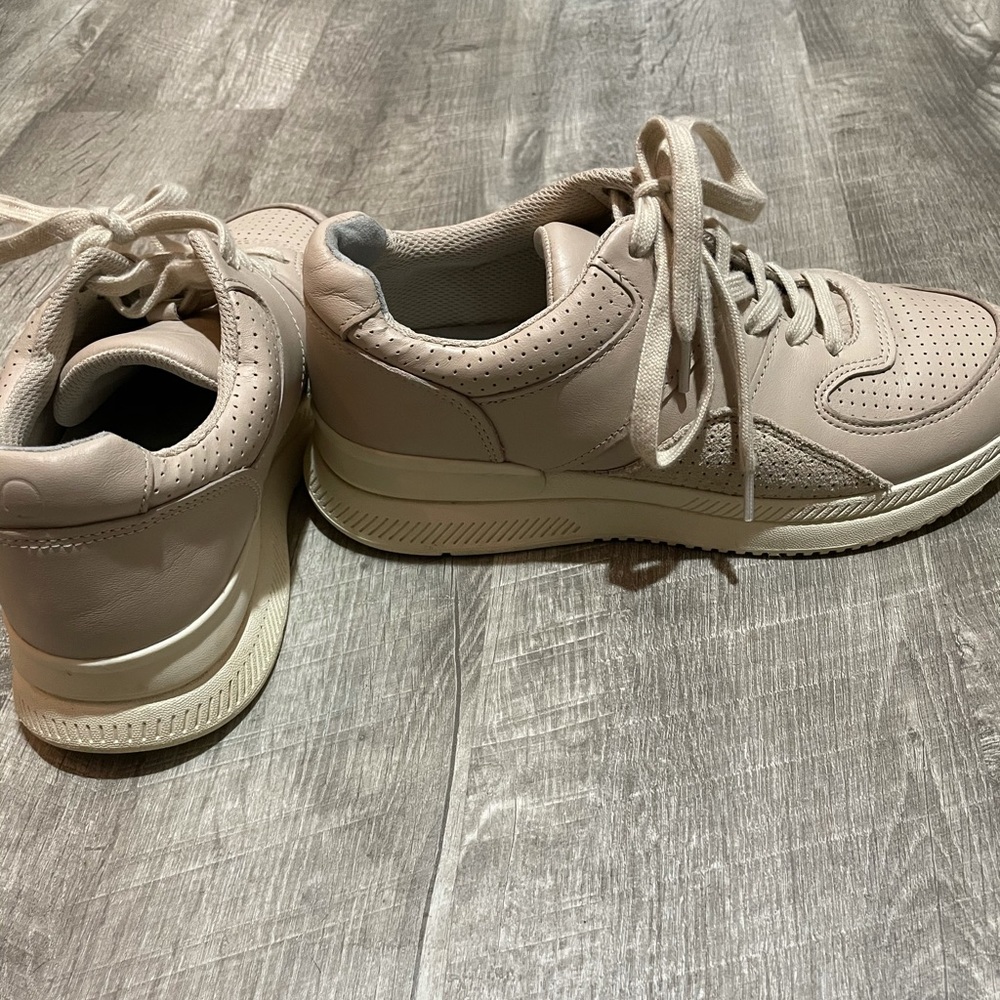 EverLane Trainer Sneaker